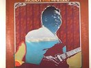 Muddy Waters ?– 
