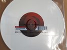 A PERFECT CIRCLE - THE DOOMED/DISILLUSIONED / LIMITED 10