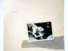 FLEETWOOD MAC – TUSK – DOUBLE VINYL - 1979
