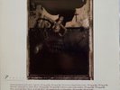 Pixies, Surfer Rosa, 4AD Rough Trade, CAD 803/Rough US 38, NM