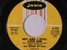 SOUND OF SOUL: Hey Girl I Still Love Him 45 Soul