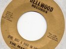 MASTERS   (I'M) JUST A MAN IN LOVE / I'VE MADE A MISTAKE   US DELLWOOD  NORTHERN
