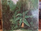 [SOUL/JAZZ] EXC LP GABOR SZABO Magical Connection [OG 1972 BLUE THUMB Issue]