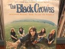 The Black Crowes Jealous Again / She Talks To Angels 12” Lp Jacket Patch Sealed