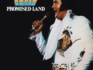 Elvis Presley PROMISED LAND 180g HQ Gold Vinyl LP Friday Music FRM-0873 Neu OVP