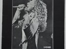 Led Zeppelin  Kashmir Live LP