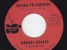 soul funk 45 HARVEY SCALES Trying To Survive MAGIC TOUCH VG++ HEAR ltd. reissue
