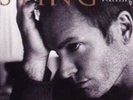 Sting - Mercury Falling 731454048613 (Vinyl Used Like New)