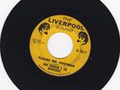 SELDOM LISTED 45 - MIKE SHERIDAN & NIGHTRIDERS - PLEASE MR. POSTMAN/IN LOVE
