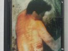 Bruce Springsteen - The Ghost Of Tom Joad MiniDisc Album MD Youngstown 1995