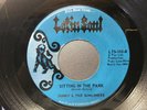 San Antonio Soul 45  Sunny & The Sunliners on Latin Soul  M-   