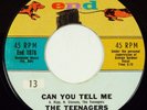 THE TEENAGERS * Can You Tell Me / A Little Wiser Now - End 1076