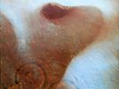 PINK FLOYD MEDDLE PROG-ROCK UK VINYL GATEFOLD LP ON HARVEST 1971