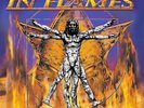 IN FLAMES – CLAYMAN + LP + PICTURE DISC + SEHR GUT + NEUWERTIG