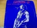 BRUCE SPRINGSTEEN GROWIN' UP BOX 4 LP LIVE AT MEADOWLAND 1984 LITTLE STEVENS