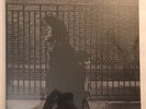 Neil Young - After The Gold Rush - SEALED 1970 Album RS 6383
