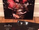 Björk – Biophilia LP