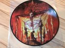 Desaster Hellfire‘s Dominion Picture LP Limitiert Sehr Rar