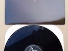 NIHILISTICS BRAIN EATER 33 RPM 12