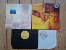 The Afghan Whigs Gentlemen Ltd LP + 12