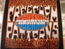 LP LIGHTNIN HOPKINS - FREE FORM PATTERNS IA -LP-6 STEREO 13th FLOOR ELEVATORS 68
