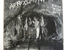 Aerosmith - Night in the Ruts - orig Vinyl LP- NM - Promo  1979 Columbia FC36050