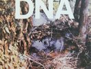 DNA -A Taste of DNA -American Clave 12
