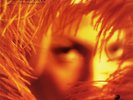 STONE TEMPLE PILOTS - SHANGRI-LA DEE DA  VINYL LP Neuf
