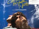New Call Me by Your Name Soundtrack 2x LP VINYL Limited Edition Blue Color Rare