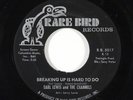Sweet Soul 45 EARL LEWIS & THE CHANNELS Breaking Up Is Hard To Do on Rare Bird