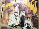 The Troggs From Nowhere The Troggs Album Vinyl LP 1st Press Fontana TL5355 1966