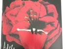 Smashing Pumpkins Adore Mono LP Original CD Box Set Signed Monuments To An Elegy