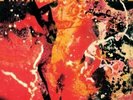 GABOR SZABO / BACCHANAL[180g LP]
