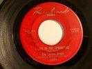 RARE Garage Fuzz 45 LEMON DROPS I Live In The Springtime REMBRANDT HEAR VG+