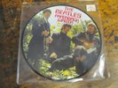 BEATLES Paperback Writer 45  PARLOPHONE pic disc butcher VG++