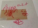 Signed Red Hot Chilli Peppers Record Sleeve With C.o.a