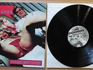 Die Kassierer - Habe Brille 1996 Teenage Rebel Records LP Vinyl