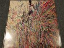 Flaming Lips The Time Has Come to Shoot You Down stone roses rare ltd 500 RSD