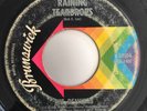 RARE KILLER Northern Soul 45 The Demures   Raining Teardrops mp3 Brunswick