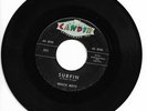 BEACH BOYS 45 Surfin/Luau Candix HEAR Rare