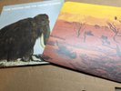 NEW SUPER RARE King Gizzard - Polygondwanaland CLEAR Vinyl LP x/100 Fuzz Club