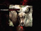 TIAMAT - Judas Christ  LP  CLEAR