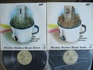 Muddy Waters 2x1LP 