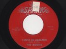 '55 W Coast R&B/DooWop ROBINS I Must Be Dreamin/The Hatchet Man SPARK M- HEAR