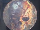 THE DEAD DAISIES / BURN IT DOWN * NEW LIMITED EDITION PICTURE VINYL LP 2018 *