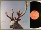 Saft  Horn   Prog; Psych  RARE   1971 Norway