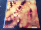 Steamhammer - Same/1st UK 1st Pressing CBS/Reflection With Gatefold Sleeve