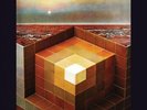 BLACK MOUNTAIN - IN THE FUTURE NEW VINYL RECORD