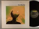 Terry Manning  Home Sweet Home  Psych With Fuzz Guitar Big Star Interest  Promo