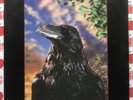 THE STRANGLERS - RAVEN VINYL RECORD LP WITH 3D LENTICULAR SLEEVE PUNK NEW WAVE